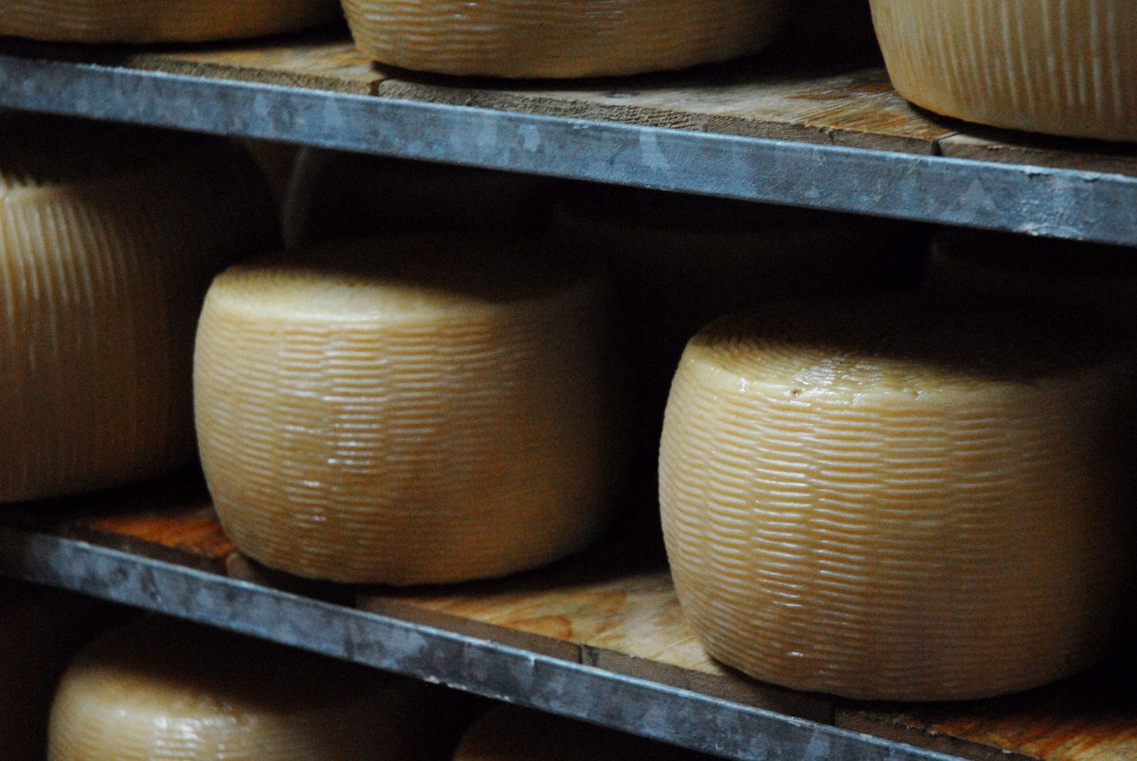 Produzione artigianale dei formaggi De Tursi