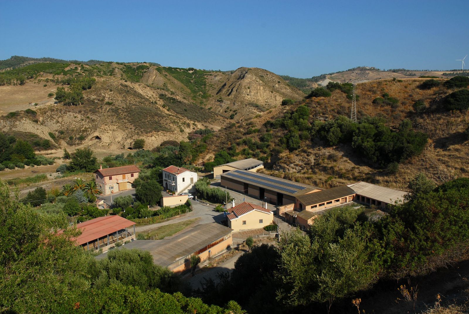 Pascoli e territorio calabrese